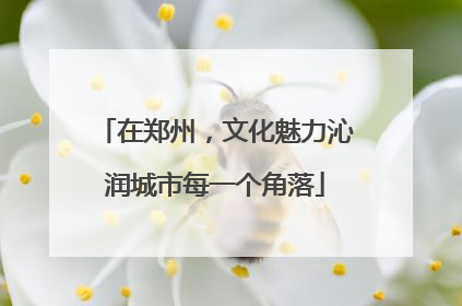 在郑州，文化魅力沁润城市每一个角落