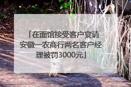 在面馆接受客户宴请 安徽一农商行两名客户经理被罚3000元