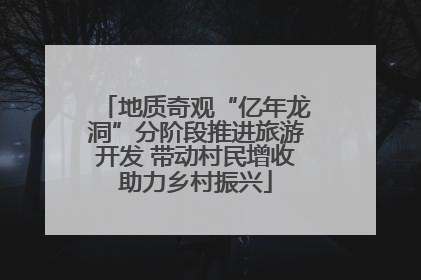 地质奇观“亿年龙洞”分阶段推进旅游开发 带动村民增收助力乡村振兴