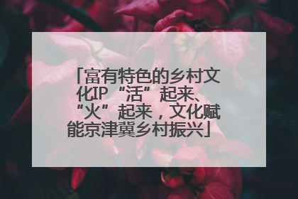 富有特色的乡村文化IP“活”起来、“火”起来，文化赋能京津冀乡村振兴