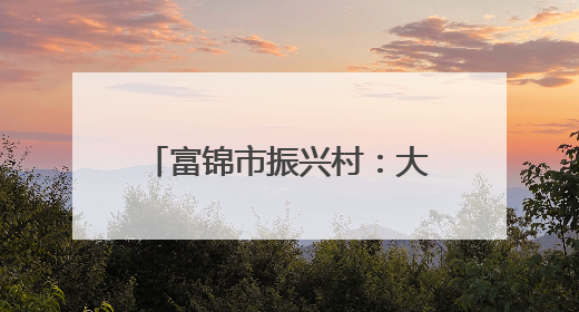 富锦市振兴村：大垄密植+全程托管走出增收新路径