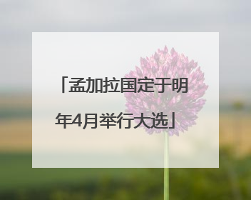孟加拉国定于明年4月举行大选