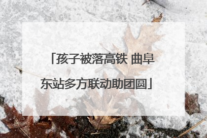 孩子被落高铁 曲阜东站多方联动助团圆