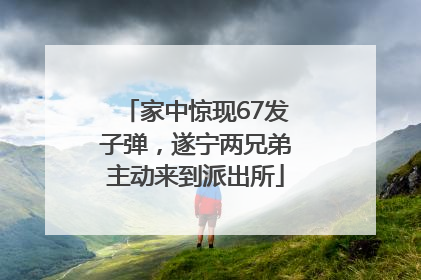家中惊现67发子弹，遂宁两兄弟主动来到派出所