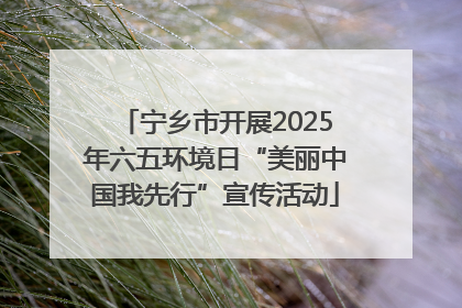 宁乡市开展2025年六五环境日“美丽中国我先行”宣传活动