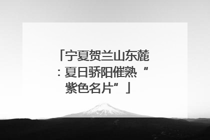 宁夏贺兰山东麓：夏日骄阳催熟“紫色名片”