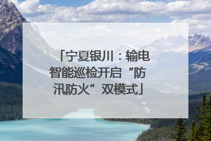 宁夏银川：输电智能巡检开启“防汛防火”双模式