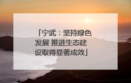 宁武：坚持绿色发展 推进生态建设取得显著成效