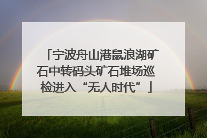 宁波舟山港鼠浪湖矿石中转码头矿石堆场巡检进入“无人时代”