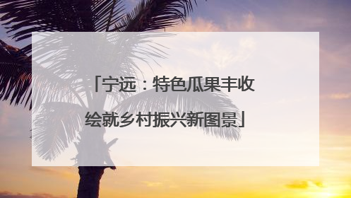 宁远：特色瓜果丰收绘就乡村振兴新图景