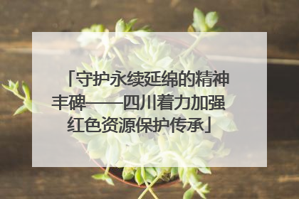 守护永续延绵的精神丰碑——四川着力加强红色资源保护传承
