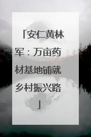 安仁黄林军：万亩药材基地铺就乡村振兴路