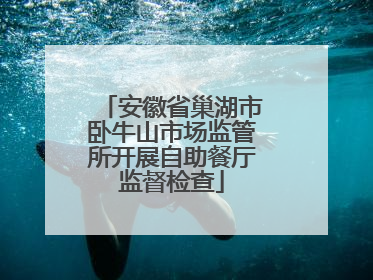 安徽省巢湖市卧牛山市场监管所开展自助餐厅监督检查