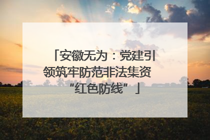 安徽无为：党建引领筑牢防范非法集资“红色防线”
