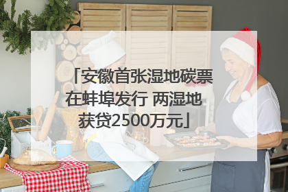 安徽首张湿地碳票在蚌埠发行 两湿地获贷2500万元