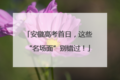 安徽高考首日，这些“名场面”别错过！
