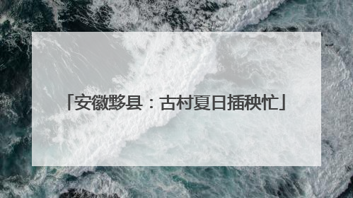 安徽黟县：古村夏日插秧忙