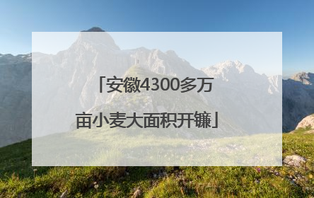 安徽4300多万亩小麦大面积开镰