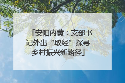 安阳内黄：支部书记外出“取经”探寻乡村振兴新路径