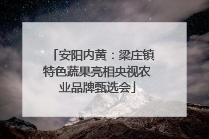 安阳内黄：梁庄镇特色蔬果亮相央视农业品牌甄选会