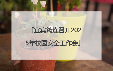 宜宾筠连召开2025年校园安全工作会