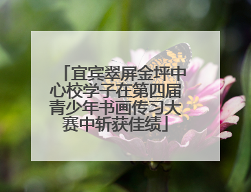 宜宾翠屏金坪中心校学子在第四届青少年书画传习大赛中斩获佳绩