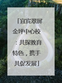 宜宾翠屏金坪中心校：共探教育特色，携手共促发展