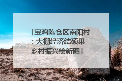 宝鸡陈仓区南阳村：大棚经济结硕果 乡村振兴绘新图