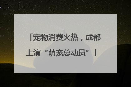 宠物消费火热，成都上演“萌宠总动员”