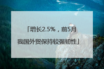 增长2.5%，前5月我国外贸保持较强韧性