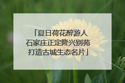 夏日荷花醉游人 石家庄正定隆兴别苑打造古城生态名片