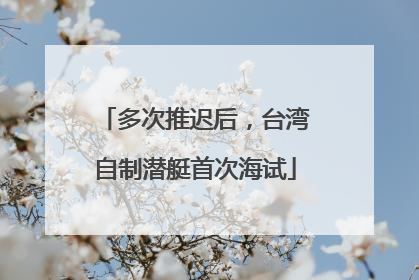 多次推迟后，台湾自制潜艇首次海试