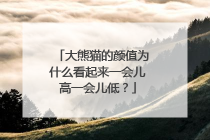大熊猫的颜值为什么看起来一会儿高一会儿低？