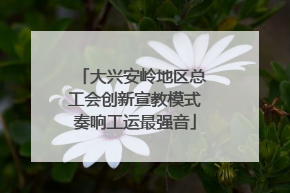 大兴安岭地区总工会创新宣教模式奏响工运最强音