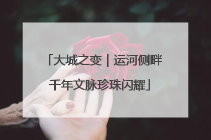 大城之变｜运河侧畔 千年文脉珍珠闪耀