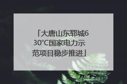 大唐山东郓城630℃国家电力示范项目稳步推进