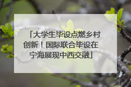大学生毕设点燃乡村创新！国际联合毕设在宁海展现中西交融