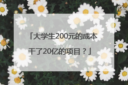大学生200元的成本干了20亿的项目？