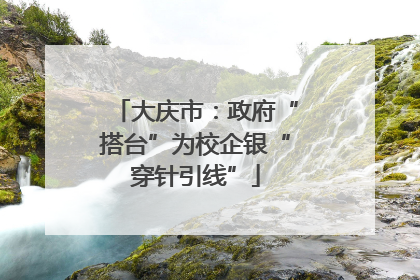 大庆市：政府“搭台”为校企银“穿针引线”