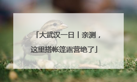 大武汉一日丨亲测，这里搭帐篷露营绝了