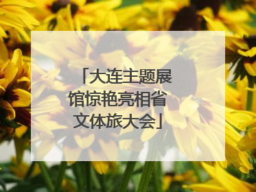大连主题展馆惊艳亮相省文体旅大会