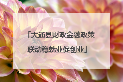 大通县财政金融政策联动稳就业促创业