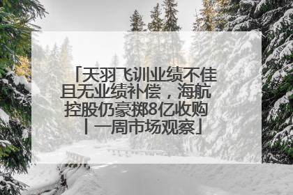 天羽飞训业绩不佳且无业绩补偿，海航控股仍豪掷8亿收购丨一周市场观察