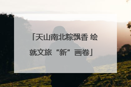 天山南北粽飘香 绘就文旅“新”画卷