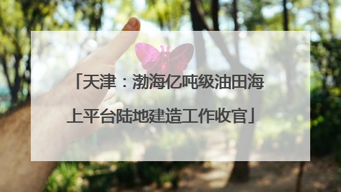 天津：渤海亿吨级油田海上平台陆地建造工作收官