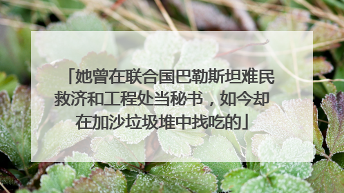 她曾在联合国巴勒斯坦难民救济和工程处当秘书，如今却在加沙垃圾堆中找吃的