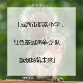 威海市福泰小学：红色基因润童心 队旗飘扬筑未来