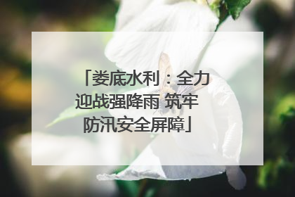 娄底水利：全力迎战强降雨 筑牢防汛安全屏障