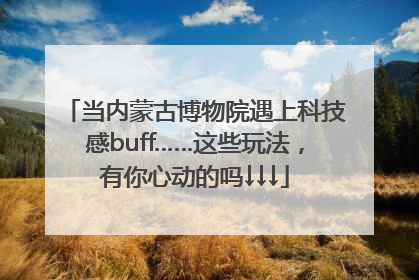 当内蒙古博物院遇上科技感buff……这些玩法，有你心动的吗↓↓↓