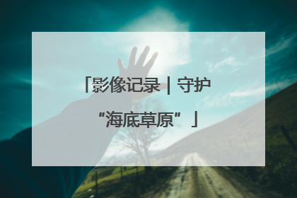影像记录｜守护“海底草原”